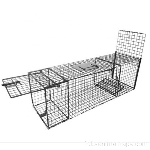 Cages de pièges à animaux vivants en maille en acier vivant